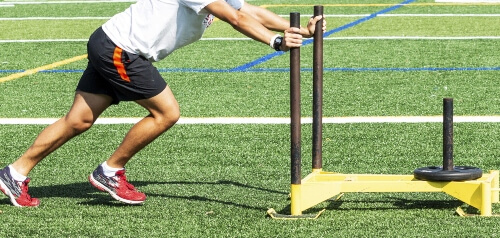 What Is An Exercise Physiologist? 2 Exercise Physiologist Qualification. Experts in exercise rehabilitation