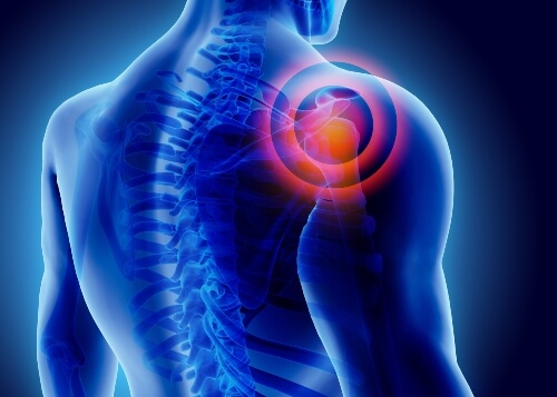 Exercise Physiology Narellan 3 Best Exercise Physiologist Narellan