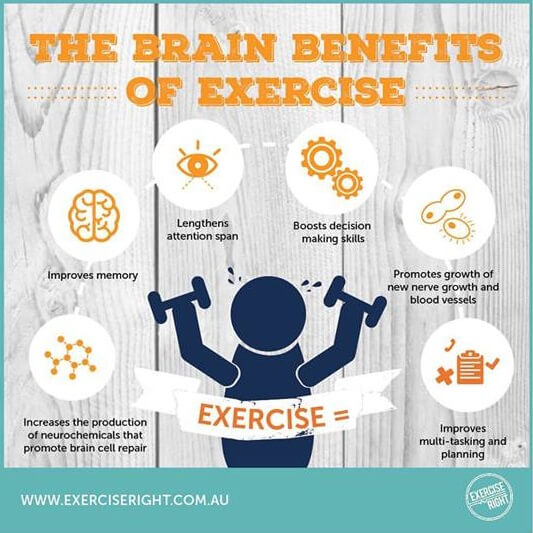 Brain Benefits of Exercise 1 Exercise Has Many Benefits for your Brain