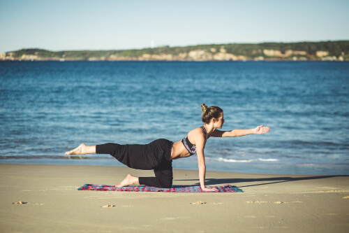 How to Correct Posture Exercises 5 bird dog pose to improve lumbar back muscles. Sydney Sports and Exercise Physiology