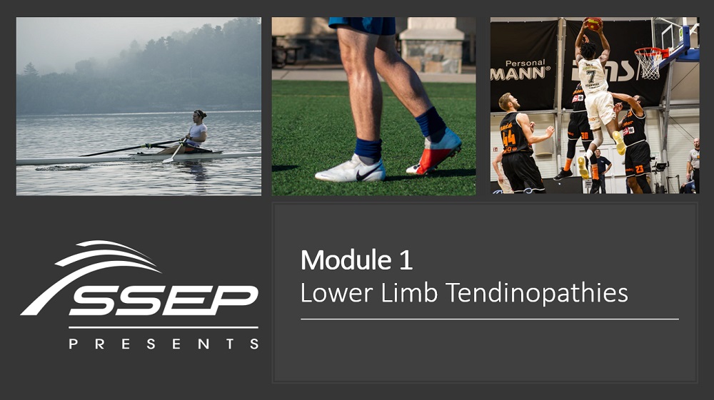 Module 1 - Tendinopathies 1 Module 1 - Tendinopathies