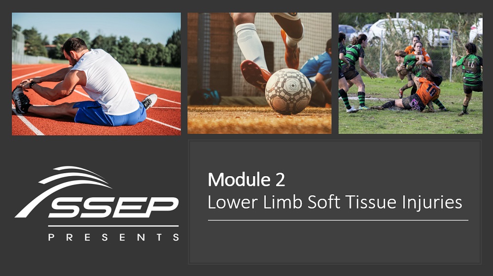 Module 2 - Soft Tissue Injuries 1 Module 2 - Soft Tissue Injuries